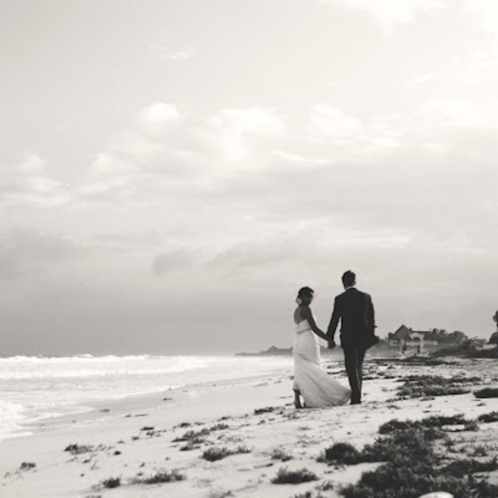 Meet your Posher, Abbey